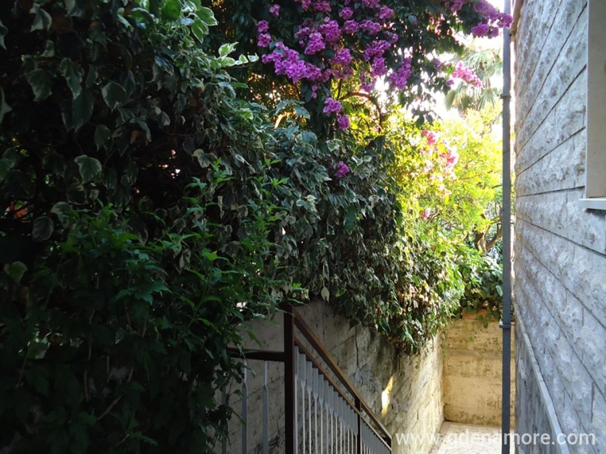 Vila Todor, privatni smeštaj u mestu Herceg Novi, Crna Gora